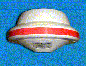 SIMG0171-copyblue