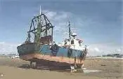 78560_aple