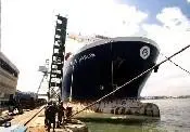 78561_bluemarlin