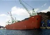 78629_Mipo