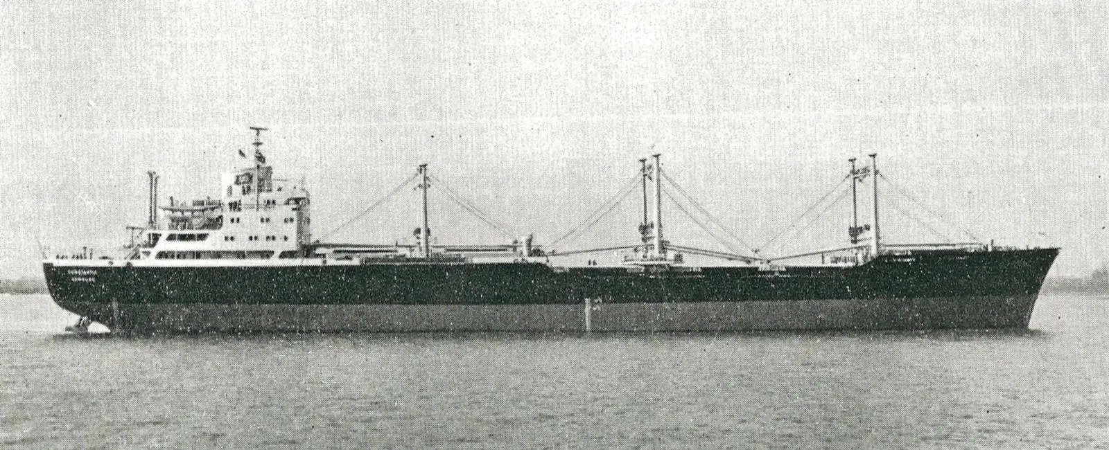The Constantia, a bulk carrier designed to transport Volkswagen cars