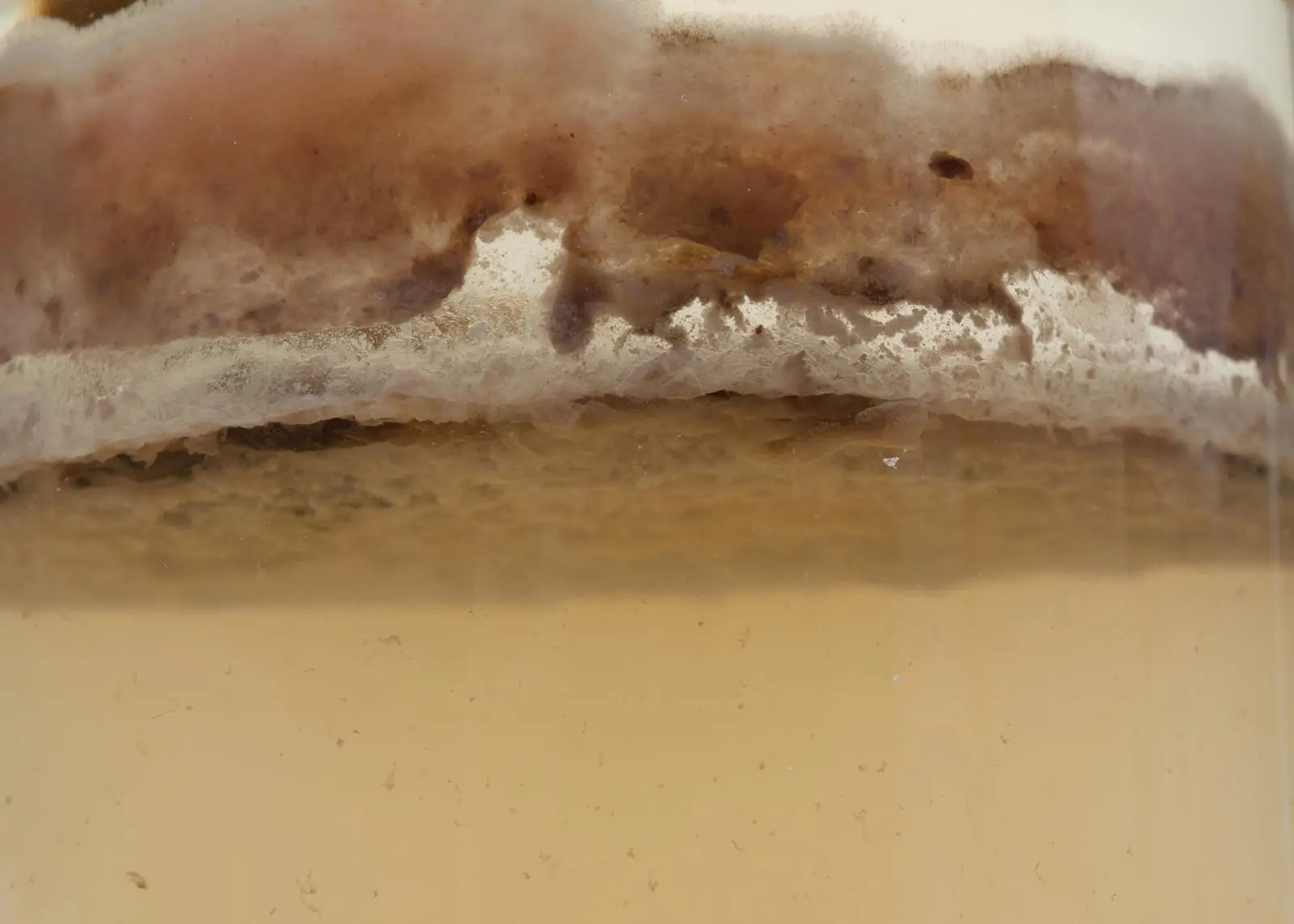 Contaminated fuel