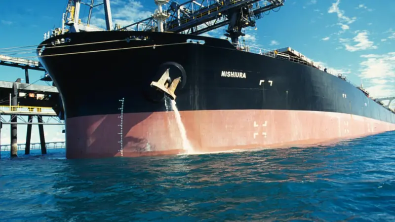 Bulk carrier CAPE M
