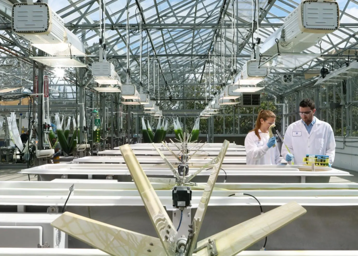 Biofuels research