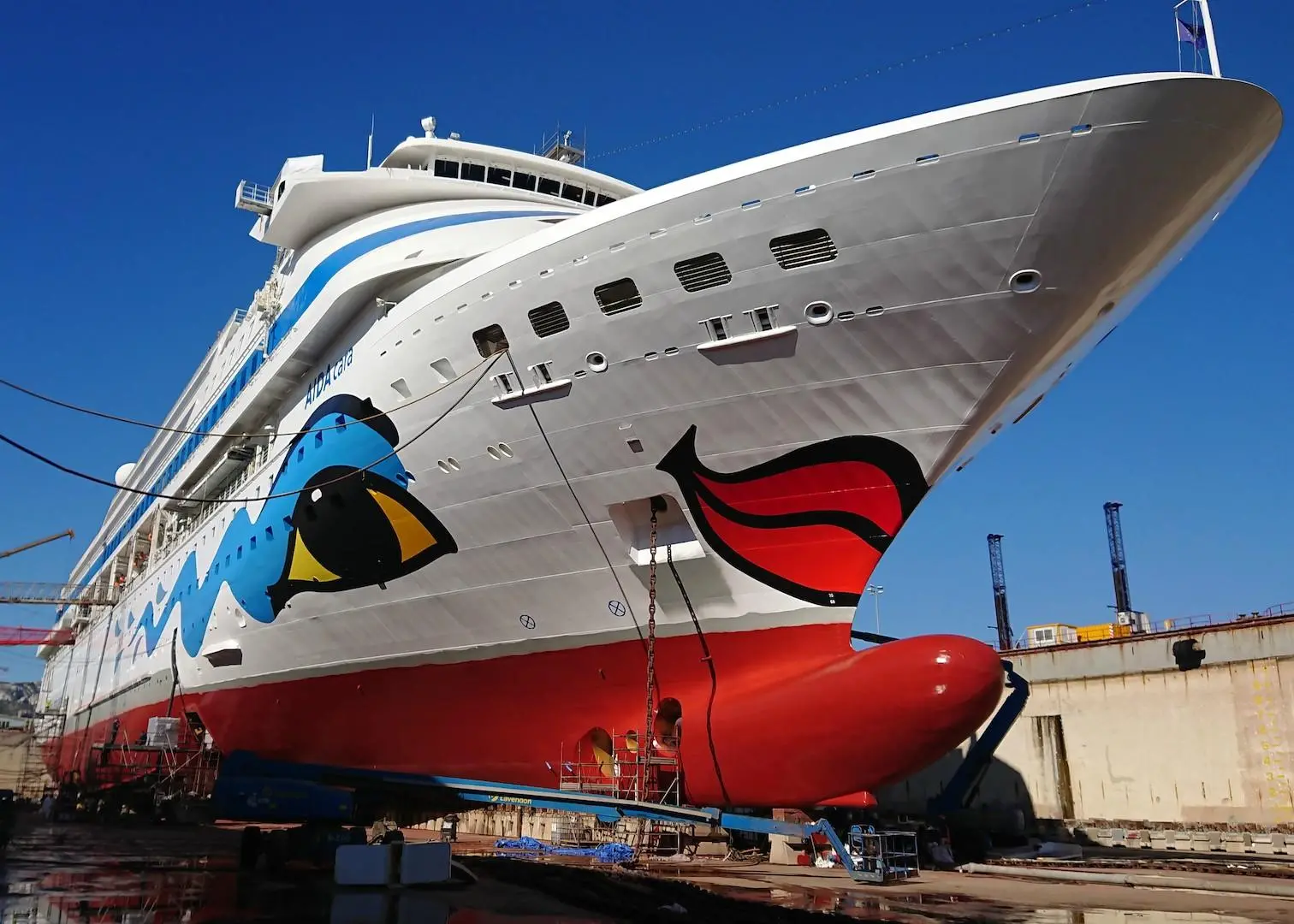 The 'AIDAcara' has been coated with Nippon Paint Marine's antifouling Aquaterras Photo: Nippon Paint Marine