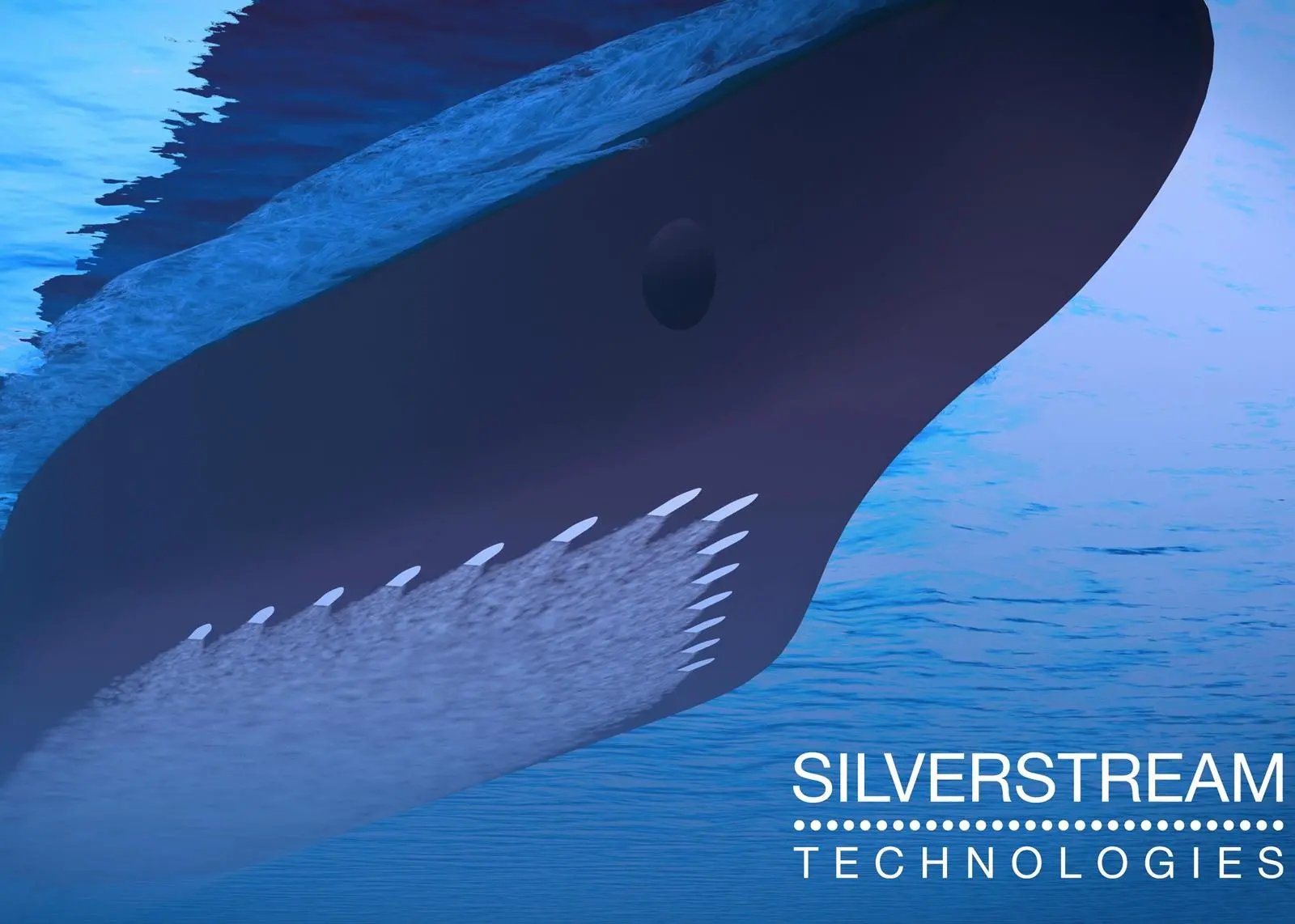 Wärtsilä has agreed to install and service Silverstream's air lubrication system Photo: Silverstream Technologies