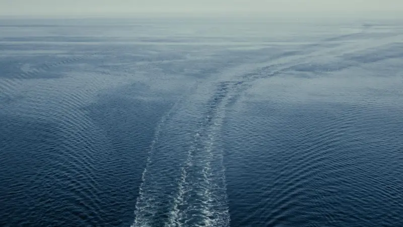 A new research and innovation centre in Copenhagen is intended to accelerate the decarbonisation of the shipping industry.