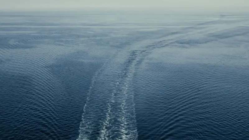 The new Conversion Optionality Study will focus on the financial risks and climate related financial disclosure risks connected with converting existing vessels to zero carbon fuels