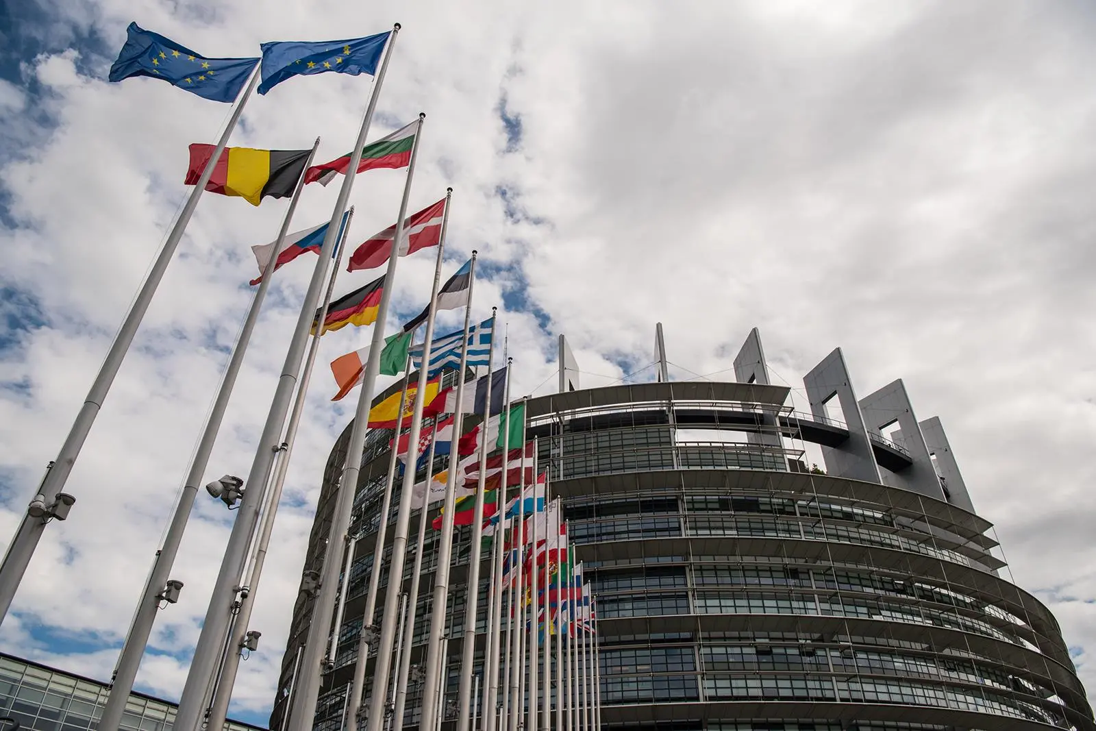 Green fuel: the European Parliament voted in favour of a 2% mandate for green shipping fuels by 2030, but rejected a motion for a 100% GHG reduction by 2050.