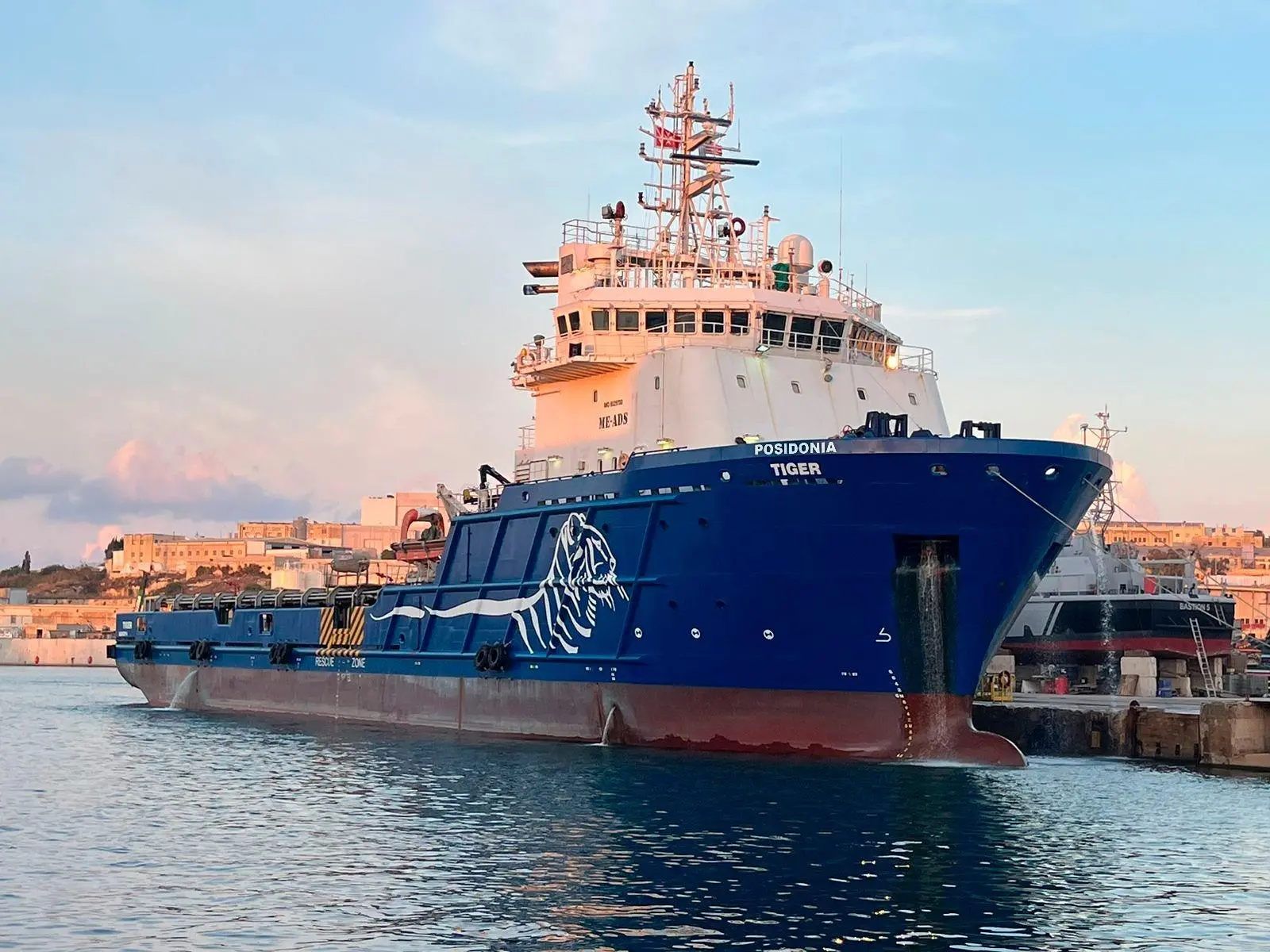 Posidonia-Tiger