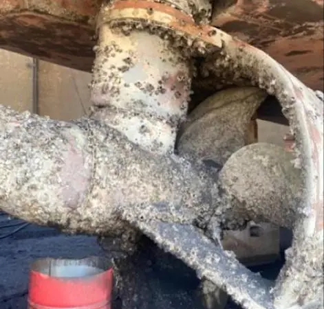 Hull fouling_IMCA