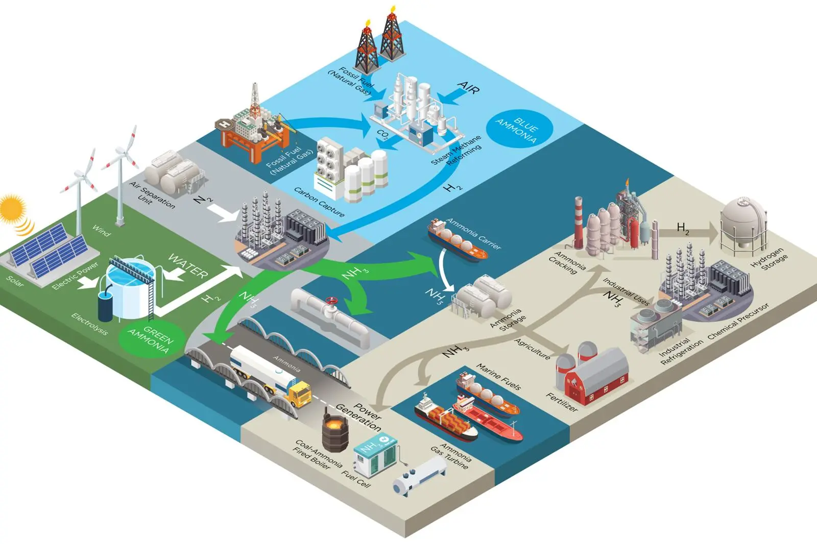 Ammonia value chain