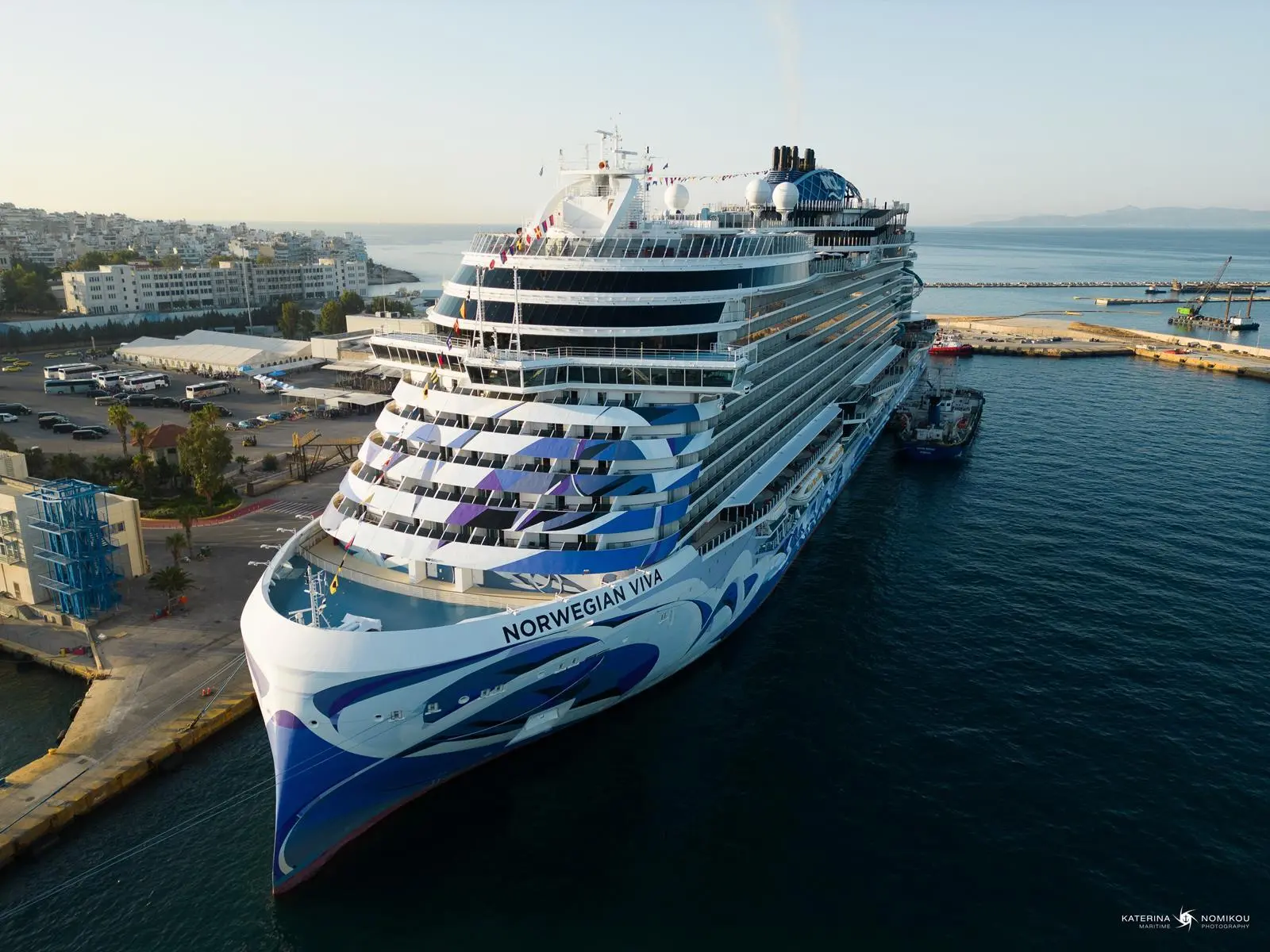 Cruise biofuel