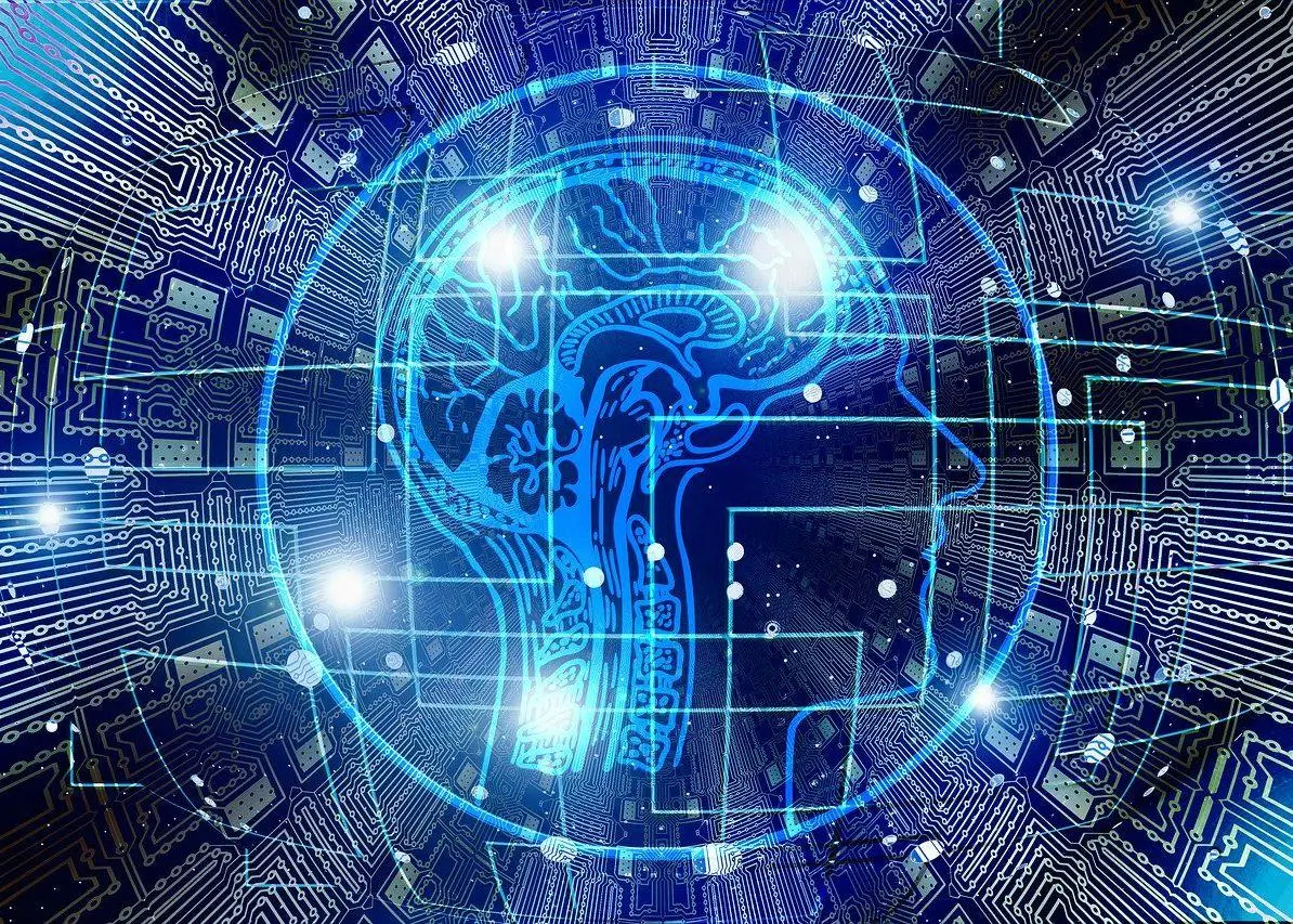 Image of a human head and data points