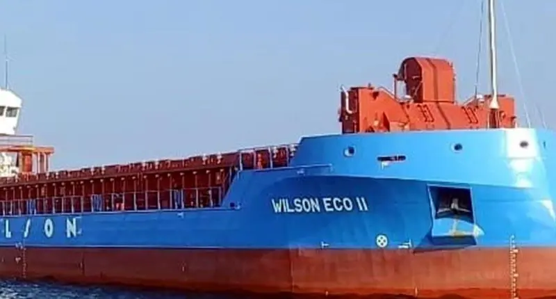 Wilson Eco II