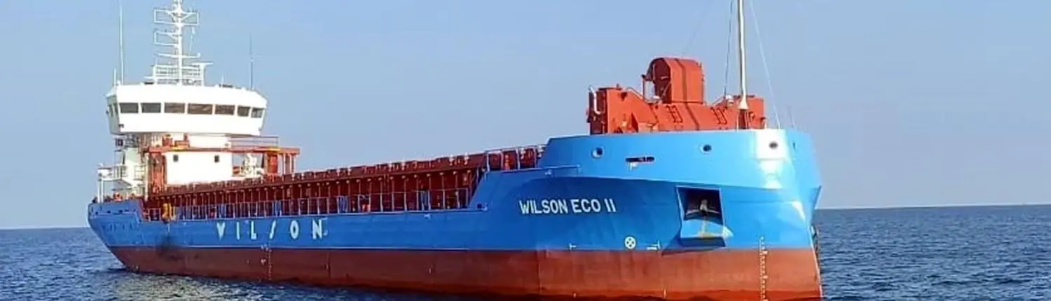 Wilson Eco II